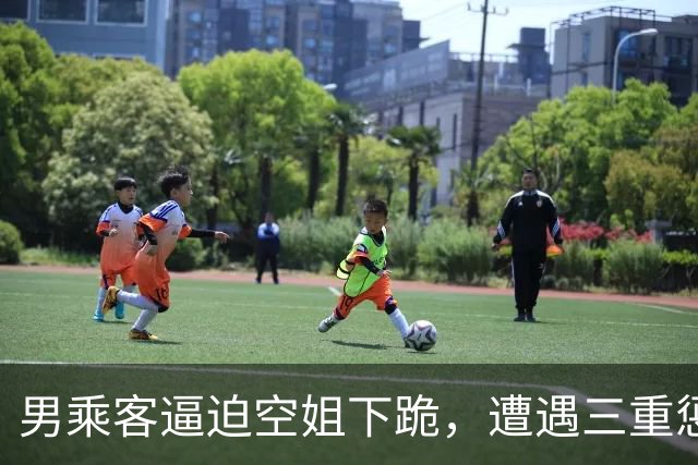 男乘客逼迫空姐下跪，遭遇三重惩罚，傲慢自负无处遁形